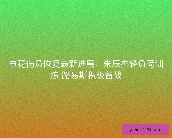 申花伤员恢复最新进展：朱辰杰轻负荷训练 路易斯积极备战